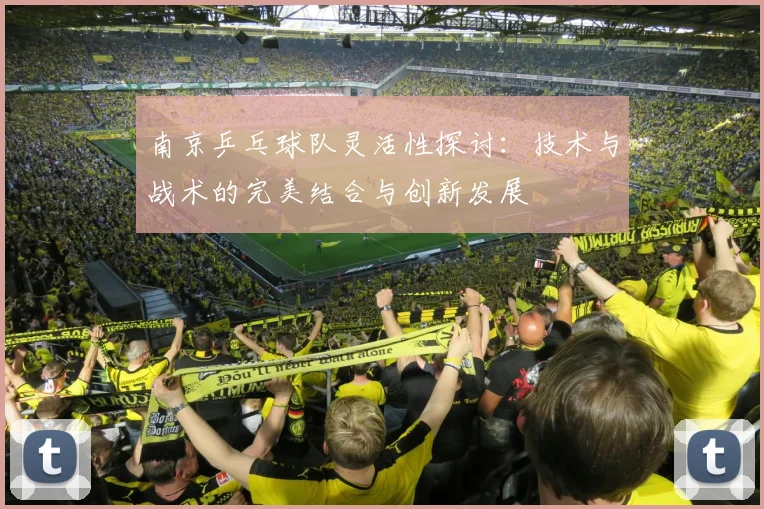 南京乒乓球队灵活性探讨：技术与战术的完美结合与创新发展