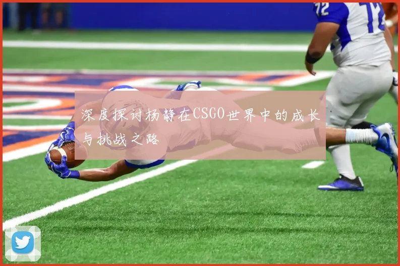 深度探讨杨静在CSGO世界中的成长与挑战之路